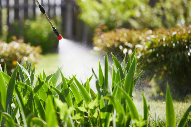 Tamper-Resistant Bait Stations for Rodents in Chepachet