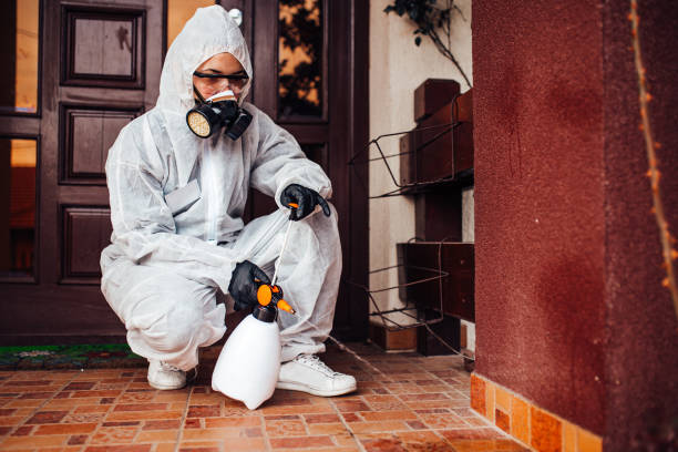 Attic and Crawl Space Rodent Treatment in Chepachet