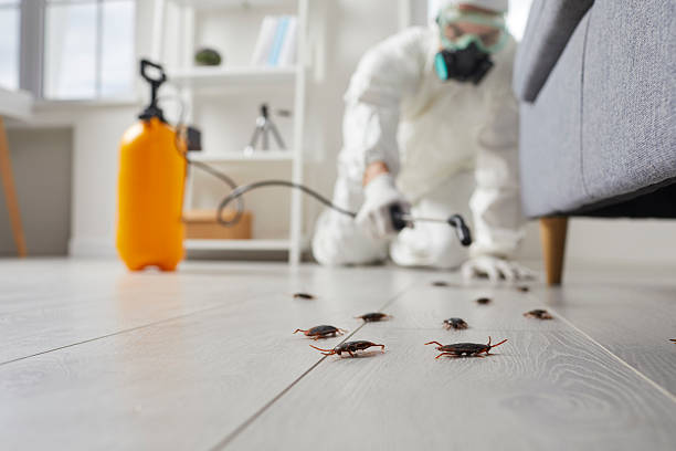 Commercial Rodent Management in Chepachet
